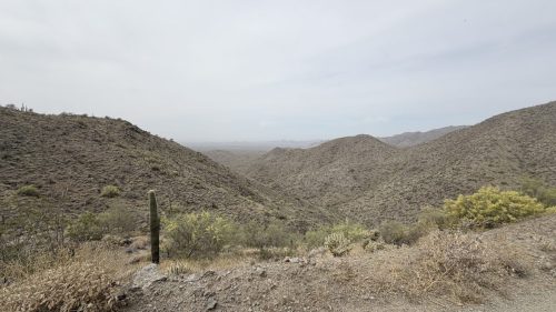 IMG 0278