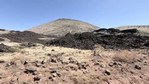 IMG 0580